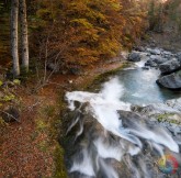 Otoño en el Río Arazas - Pirineos - Huesca - Aragón