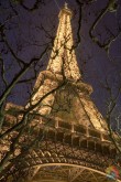 Los Árboles También la Quieren - París - Francia