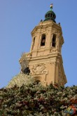 Ofrenda - Zaragoza - Aragón