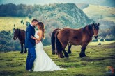 Postboda con caballos