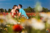 Preboda en Campo de Amapolas