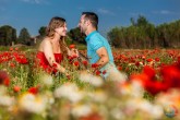 Preboda en Campo de Amapolas