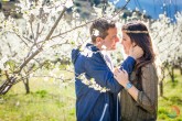Preboda en un Campo de Almendros
