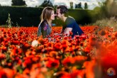 Fotos de Pareja en Campo de Amapolas