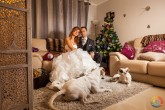 Fotos de Boda en su Casa con los Perros