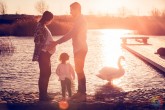 Foto de Embarazo en un estanque con Cisnes