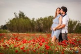 Fotos de Embarazada en un Campo de Amapolas