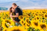 preboda en campo de girasoles