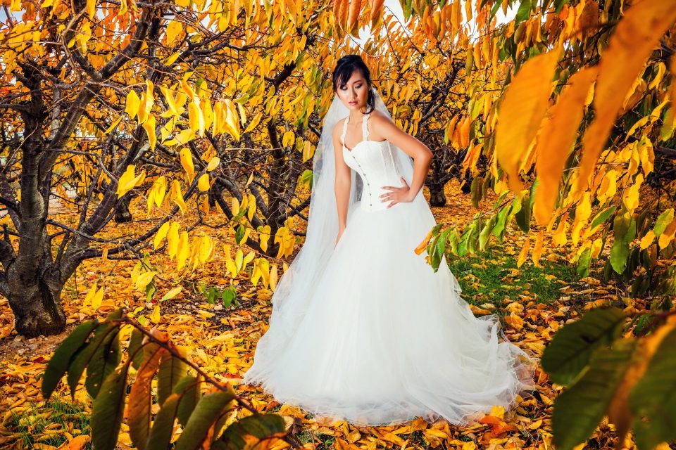 Fotografía editorial de glamour en un campo arbolado durante el otoño.