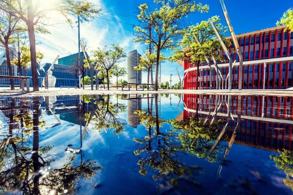 An urban landscape photographed in 2019 features young trees.