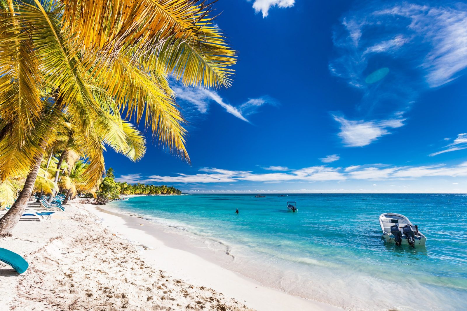 A tropical white-sand beach has palm trees leaning over the shore, sun loungers in the shade and calm turquoise waters.