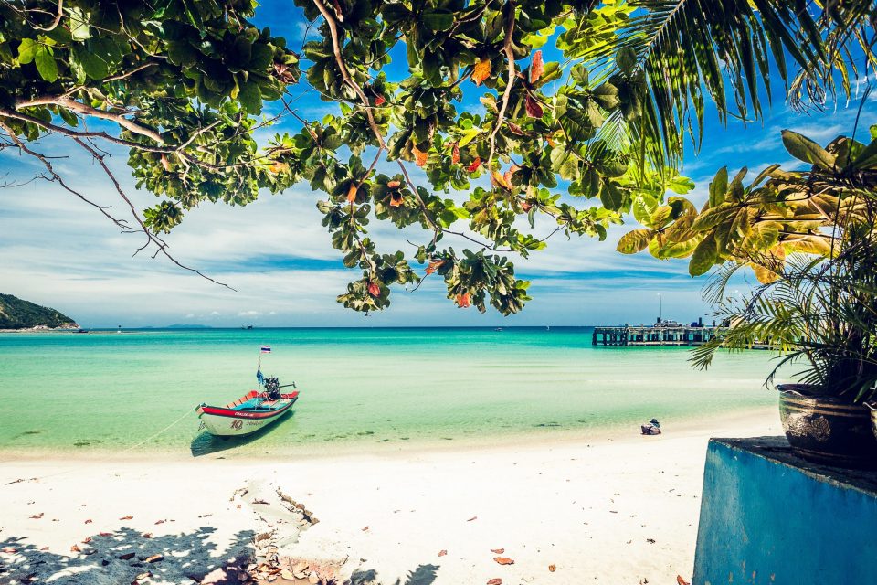 A tropical white-sand beach and turquoise sea are framed by leafy branches and palm trees.