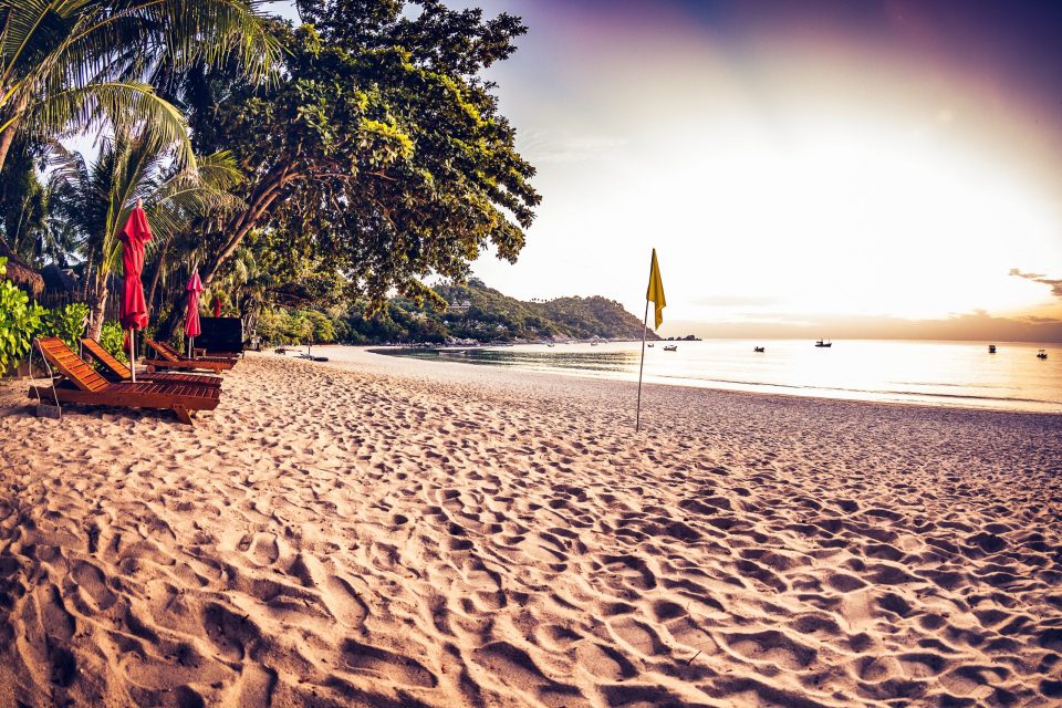 A tropical beach with pale sand beside the sea, wooden sun loungers and red parasols beneath palm trees and lush foliage.