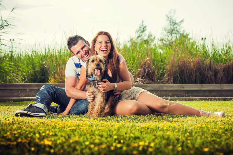 Una pareja sentada sobre la hierba en un parque, abrazada y sonriente junto a un perro pequeño de pelo largo.