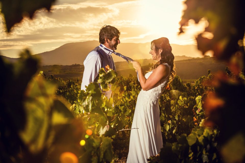 A wedding-dressed couple poses between the rows of a vineyard at sunset.