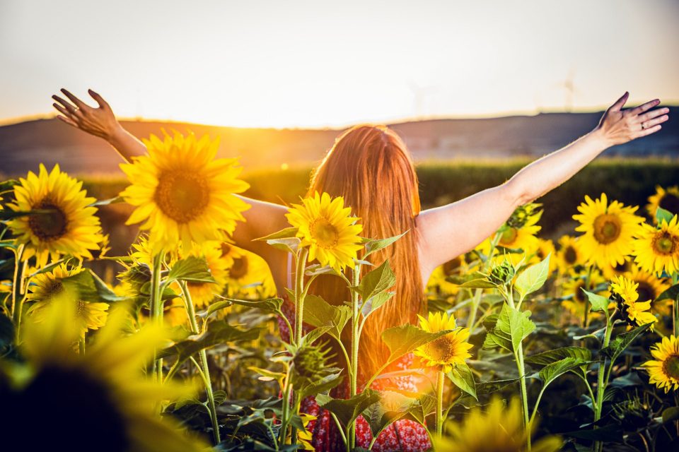 A person with long hair, seen from behind with their arms outstretched, stands among blooming sunflowers.